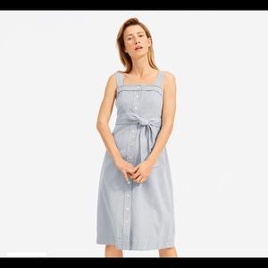 Everlane Cotton Weave Picnic Dress 00